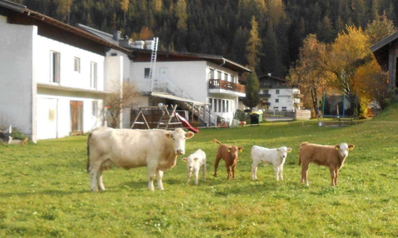 Ferienhaus Dankl ฮอลเลอร์บาค อิม พินซ์เกา ภายนอก รูปภาพ